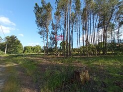 Terreno R�stico - Bodiosa, Viseu, Viseu