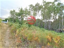Terreno R�stico - Lordosa, Viseu, Viseu