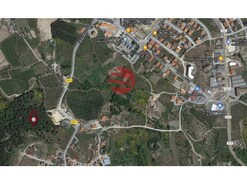 Terreno R�stico - Arcozelos, Moimenta da Beira, Viseu