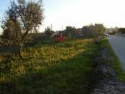 Terreno R�stico - Rio de Loba, Viseu, Viseu - Miniatura: 1/3