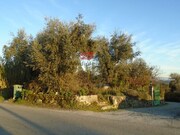 Terreno R�stico - Rio de Loba, Viseu, Viseu - Miniatura: 2/3