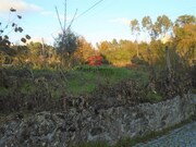 Terreno R�stico - Rio de Loba, Viseu, Viseu - Miniatura: 3/3