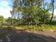 Terreno R�stico - Bodiosa, Viseu, Viseu - Miniatura: 2/6