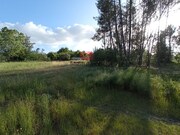 Terreno R�stico - Bodiosa, Viseu, Viseu - Miniatura: 3/6