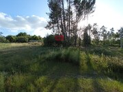 Terreno R�stico - Bodiosa, Viseu, Viseu - Miniatura: 4/6