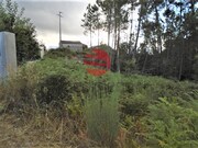 Terreno R�stico - Lordosa, Viseu, Viseu - Miniatura: 3/3