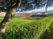 Imveis de Luxo T4 - Penso e Freixinho, Sernancelhe, Viseu - Miniatura: 3/9