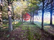 Quinta - Meda, Meda, Guarda - Miniatura: 4/9