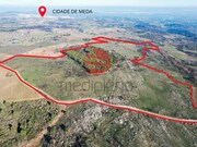 Quinta - Meda, Meda, Guarda - Miniatura: 6/9