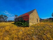 Terreno R�stico - Meda, Meda, Guarda - Miniatura: 5/8