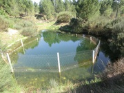 Quinta - Ferreira de Aves, Sto, Viseu - Miniatura: 3/5