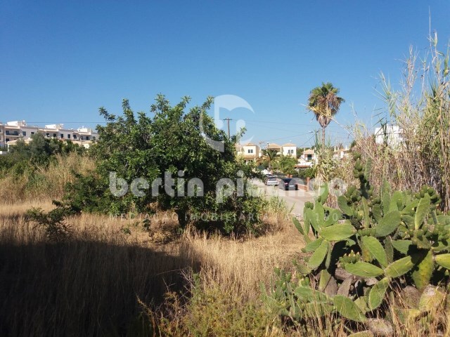 Terreno Rstico - Quelfes, Olho, Faro (Algarve) - Imagem grande