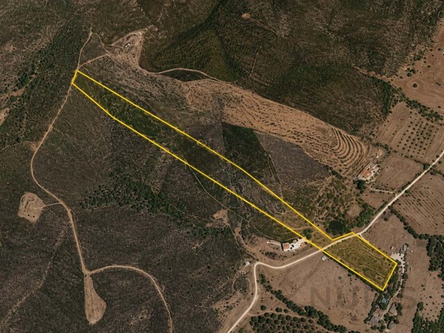 Terreno R�stico - Mexilhoeira Grande, Portim�o, Faro (Algarve) - Imagem grande