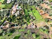 Quinta T3 - Silves, Silves, Faro (Algarve) - Miniatura: 4/9