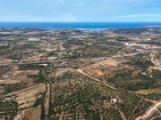 Terreno R�stico - Mexilhoeira Grande, Portim�o, Faro (Algarve) - Miniatura: 5/6