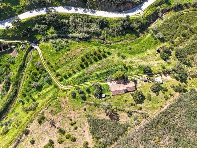 Quinta T3 - Mexilhoeira Grande, Portimão, Faro (Algarve) - Imagem grande