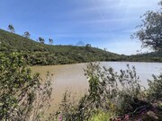 Quinta - Mexilhoeira Grande, Portimo, Faro (Algarve) - Miniatura: 4/9