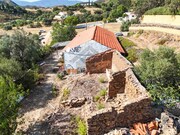 Quinta T3 - Silves, Silves, Faro (Algarve) - Miniatura: 4/9