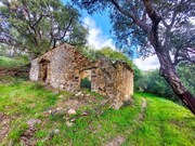 Quinta T5 - Monchique, Monchique, Faro (Algarve) - Miniatura: 7/9