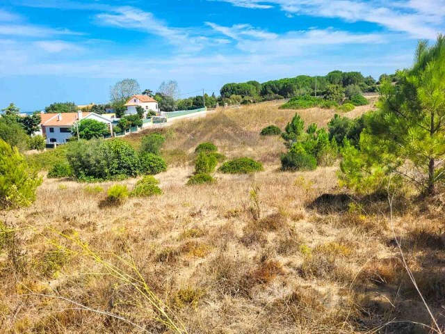 Terreno Urbano - Azeitão, Setúbal, Setúbal - Imagem grande