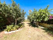 Moradia T4 - Lagoa, Lagoa (Algarve), Faro (Algarve) - Miniatura: 3/9
