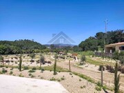 Quinta T2 - Mexilhoeira Grande, Portim�o, Faro (Algarve) - Miniatura: 1/9
