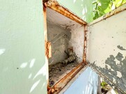 Armazm - Portimo, Portimo, Faro (Algarve) - Miniatura: 2/9