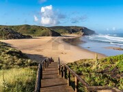 Terreno R�stico - Vila do Bispo, Vila do Bispo, Faro (Algarve) - Miniatura: 8/9
