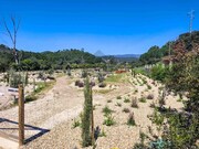 Quinta T2 - Mexilhoeira Grande, Portim�o, Faro (Algarve) - Miniatura: 8/9