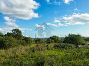 Terreno R�stico - S�o Bartolomeu de Messines, Silves, Faro (Algarve) - Miniatura: 3/9