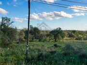 Terreno R�stico - S�o Bartolomeu de Messines, Silves, Faro (Algarve) - Miniatura: 4/9