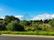 Terreno R�stico - S�o Bartolomeu de Messines, Silves, Faro (Algarve) - Miniatura: 7/9