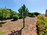 Moradia T3 - Silves, Silves, Faro (Algarve) - Miniatura: 6/9