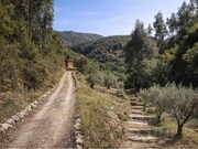 Quinta T5 - Monchique, Monchique, Faro (Algarve) - Miniatura: 4/9