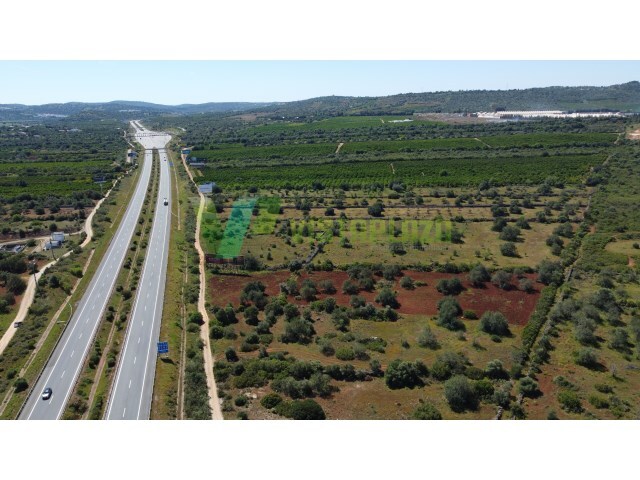 Terreno R�stico - Paderne, Albufeira, Faro (Algarve) - Imagem grande