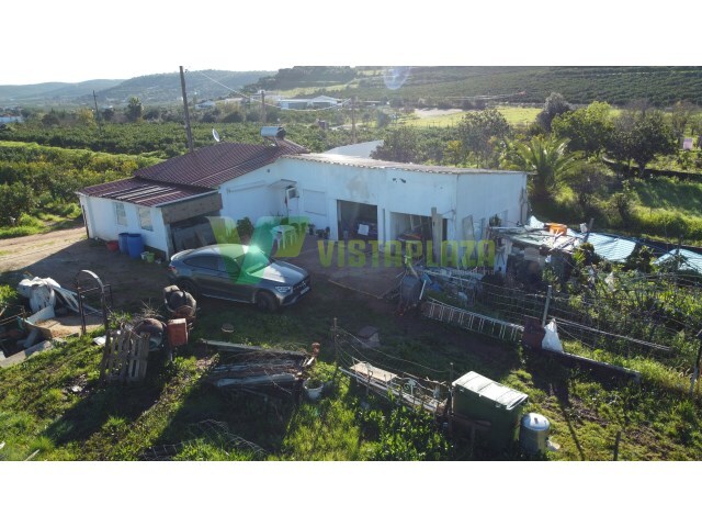 Terreno R�stico - Silves, Silves, Faro (Algarve) - Imagem grande