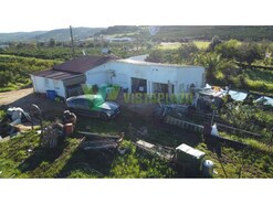 Terreno R�stico - Silves, Silves, Faro (Algarve)