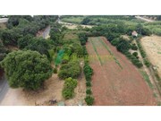 Terreno Rstico - Silves, Silves, Faro (Algarve) - Miniatura: 5/9