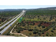 Terreno R�stico - Paderne, Albufeira, Faro (Algarve) - Miniatura: 1/9