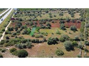 Terreno R�stico - Paderne, Albufeira, Faro (Algarve) - Miniatura: 2/9