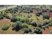 Terreno R�stico - Paderne, Albufeira, Faro (Algarve) - Miniatura: 3/9