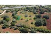 Terreno R�stico - Paderne, Albufeira, Faro (Algarve) - Miniatura: 4/9