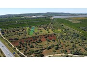 Terreno R�stico - Paderne, Albufeira, Faro (Algarve) - Miniatura: 7/9