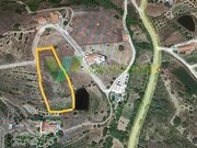 Terreno R�stico - S�o Bartolomeu de Messines, Silves, Faro (Algarve) - Miniatura: 1/1