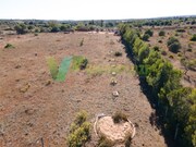 Outros - Bensafrim, Lagos, Faro (Algarve) - Miniatura: 4/9