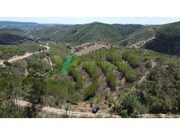Terreno R�stico - S�o Bartolomeu de Messines, Silves, Faro (Algarve) - Miniatura: 7/9