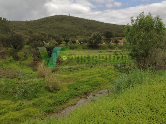 Terreno R�stico - Mexilhoeira Grande, Portim�o, Faro (Algarve) - Imagem grande