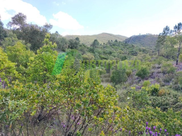 Terreno R�stico - Sab�ia, Odemira, Beja - Imagem grande