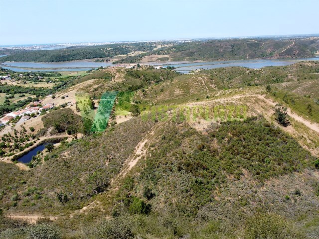 Outros T6 - Silves, Silves, Faro (Algarve) - Imagem grande