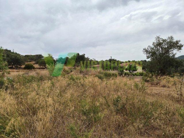 Terreno R�stico - S�o Bartolomeu de Messines, Silves, Faro (Algarve) - Imagem grande